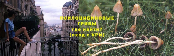 эйфоретик Белоозёрский