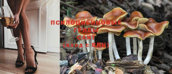 эйфоретик Белоозёрский