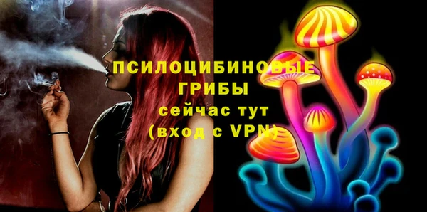 MESCALINE Белокуриха